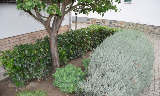 Így lesz sokszínű és élő a kert közössége