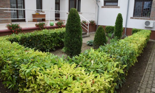 Így lesz sokszínű és élő a kert közössége