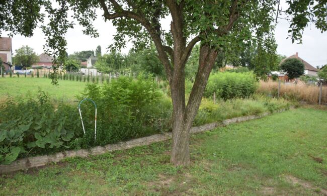 Így lesz sokszínű és élő a kert közössége