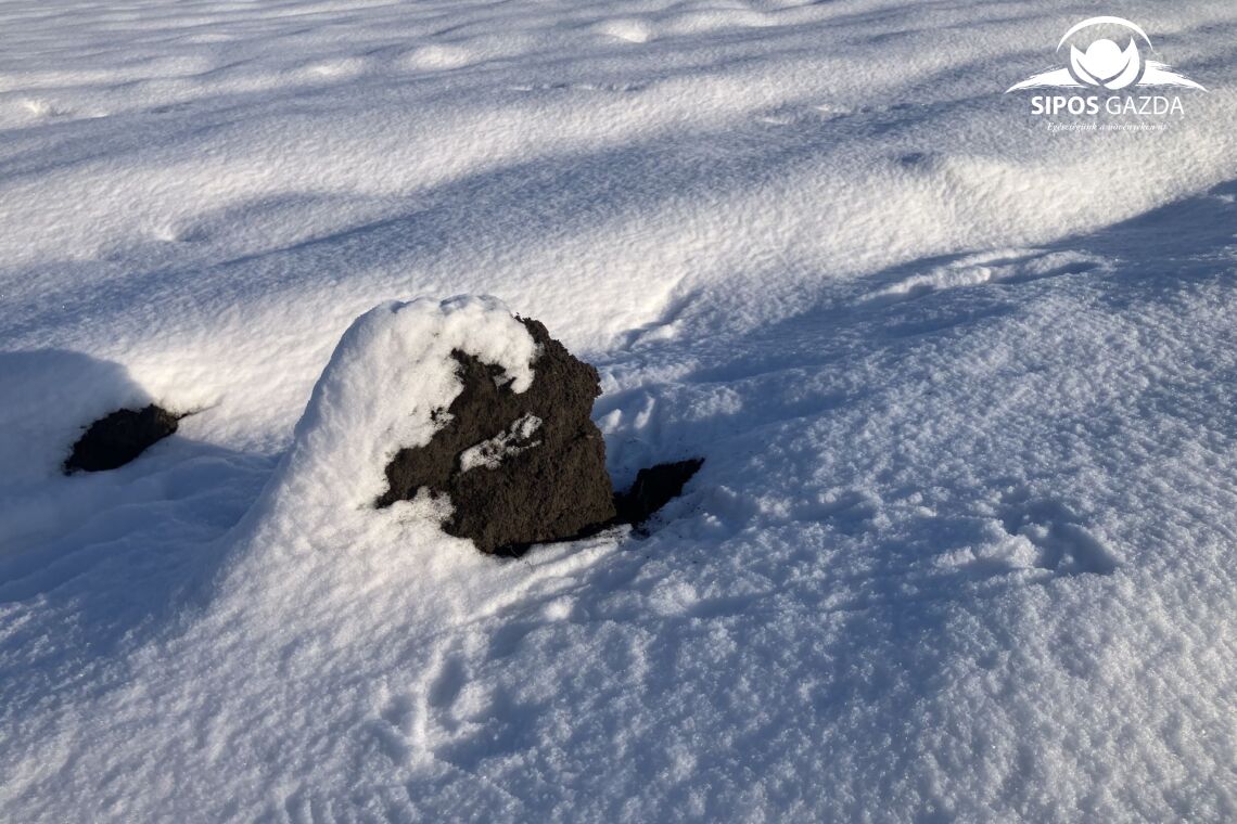Miért örüljünk a hónak és a komoly mínuszoknak?