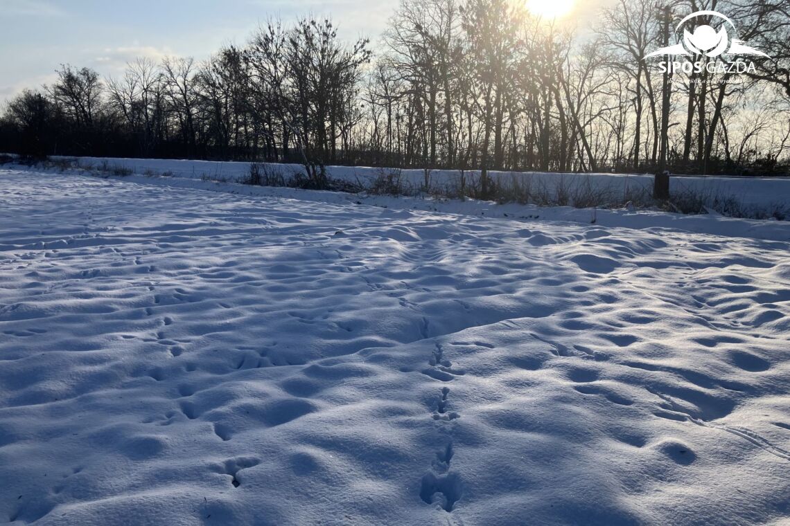 Miért örüljünk a hónak és a komoly mínuszoknak?