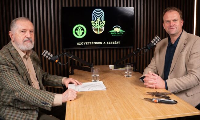 A kert szeretete – érték, üzenet és közösség