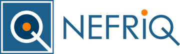 Nefriq Drone Project